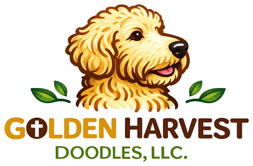 Golden Harvest Doodles